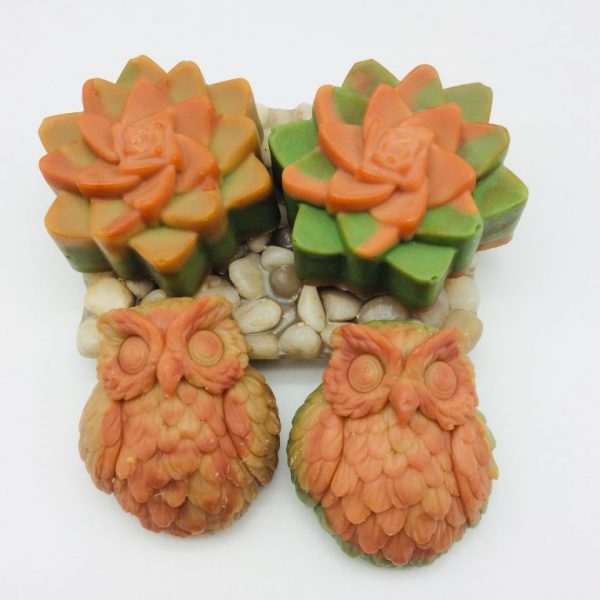 Succulent & Owl Soap ~ Orange Spice